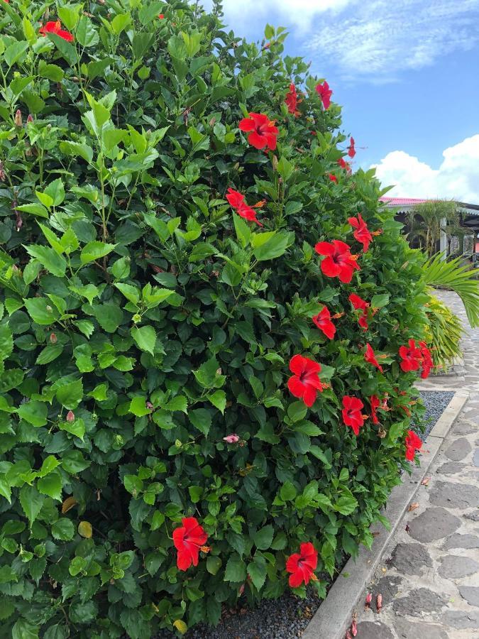 Lovely Apartment In Flic En Flac, Close To The Beach And All Amenities. Buitenkant foto